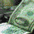 High earning
