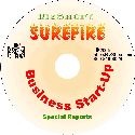 Small Business Success Manual on CD